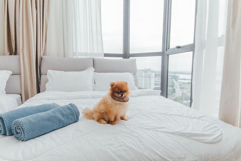 Bedroom 17