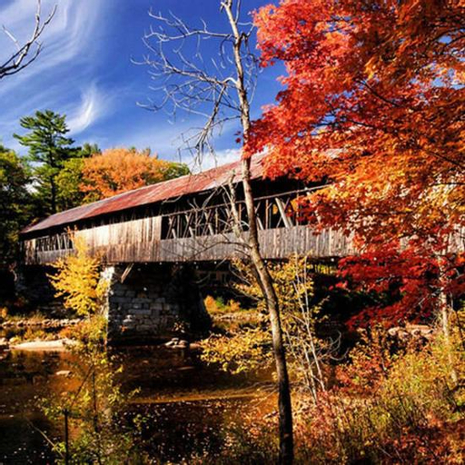 Snowy Owl Inn, Grafton