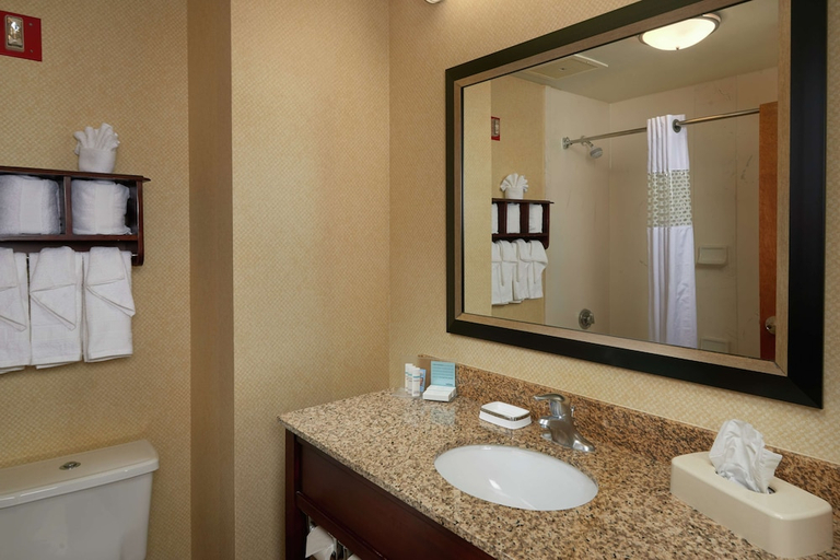 Bathroom 3, Hampton Inn Newport News-Yorktown, Newport News
