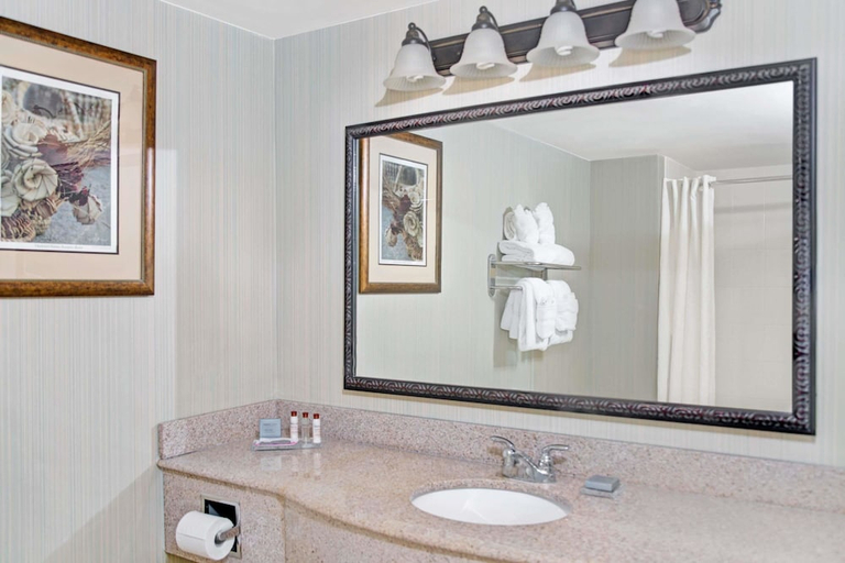 Bathroom 3, Wingate By Wyndham Charleston University Boulevard, Charleston