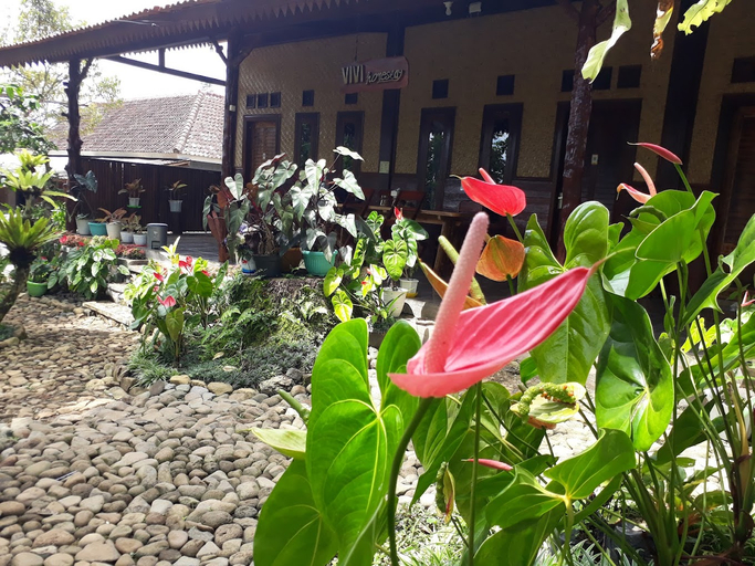 Exterior & Views 2, Vivi Ijen Homestay, Banyuwangi