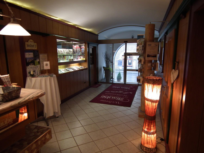 Public Area 2, Hotel die Traube, Liezen