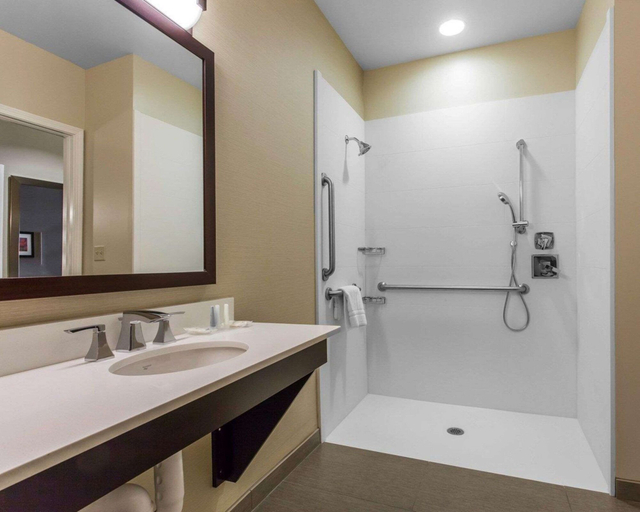 Bathroom 4, Comfort Suites Youngstown North, Trumbull