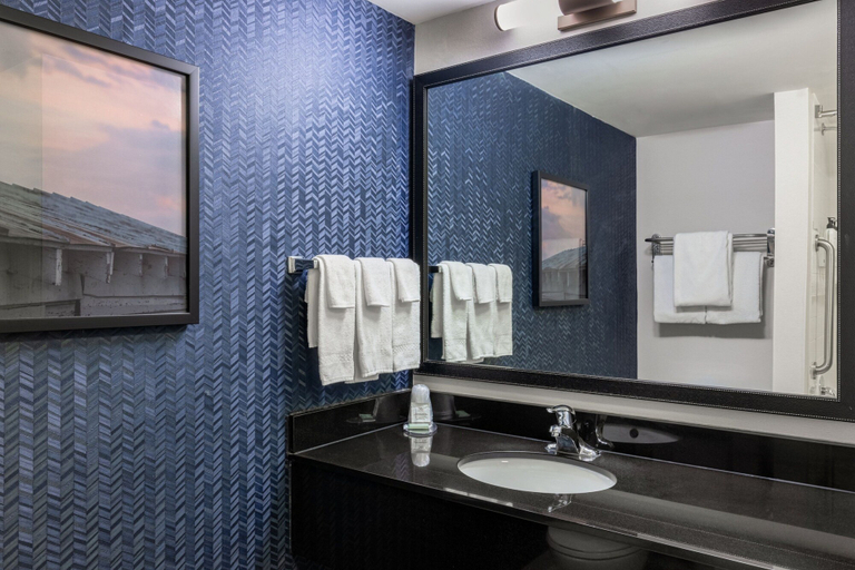 Bathroom 3, Fairfield Inn & Suites by Marriott Smithfield Selma/I-95, Johnston