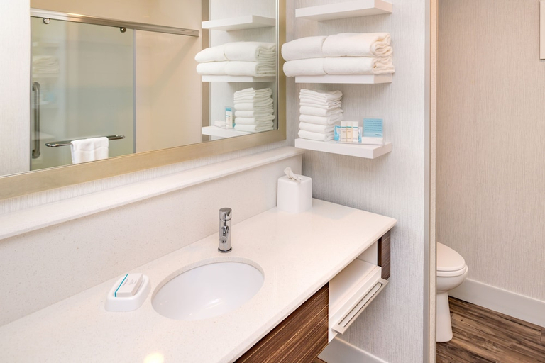 Bathroom 5, Hampton Inn & Suites Olympia/Lacey, Thurston