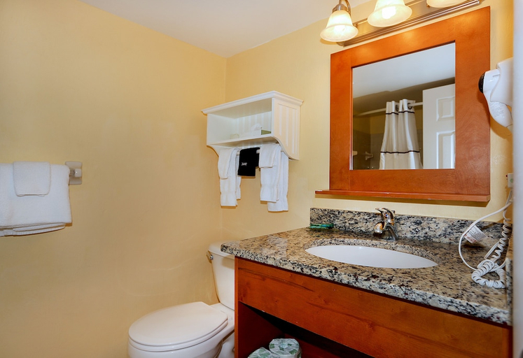 Bathroom 4, Tropic Sun Towers, Volusia