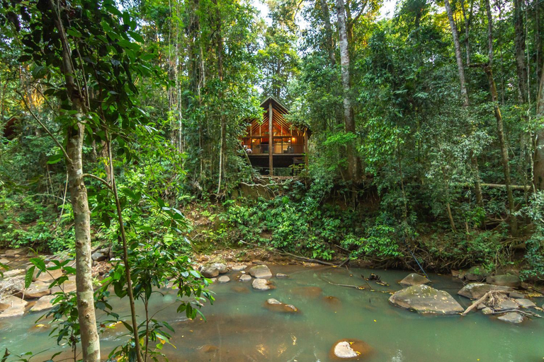View 2, The Canopy Rainforest Treehouses, Eacham
