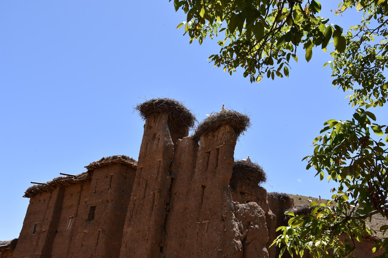 Exterior view 3, Maison D'hotes Dar Afra, Azilal