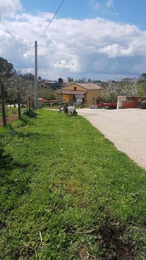 Others 5, Agriturismo San Tommaso, Avellino