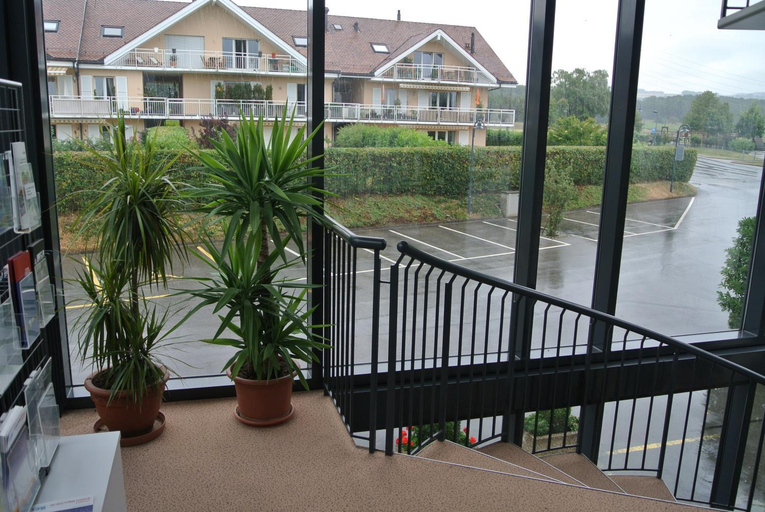Public Area, Auberge de la Reunion, Nyon