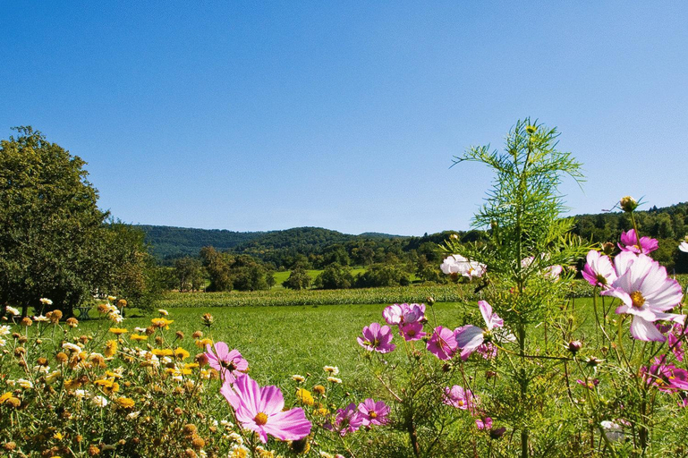 Others, Auberge et Hostellerie Paysanne, Haut-Rhin