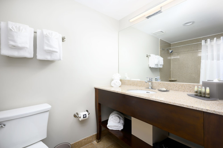Bathroom, Harborside Hotel, Prince George's