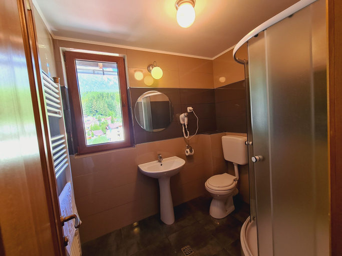 Bathroom 4, CASA FLORESCU, Busteni