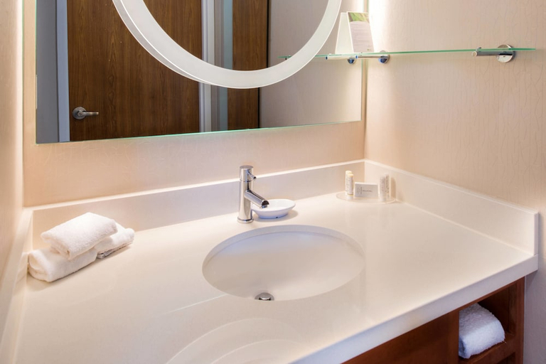 Bathroom 4, Springhill Suites By Marriott Pittsburgh Southside, Allegheny