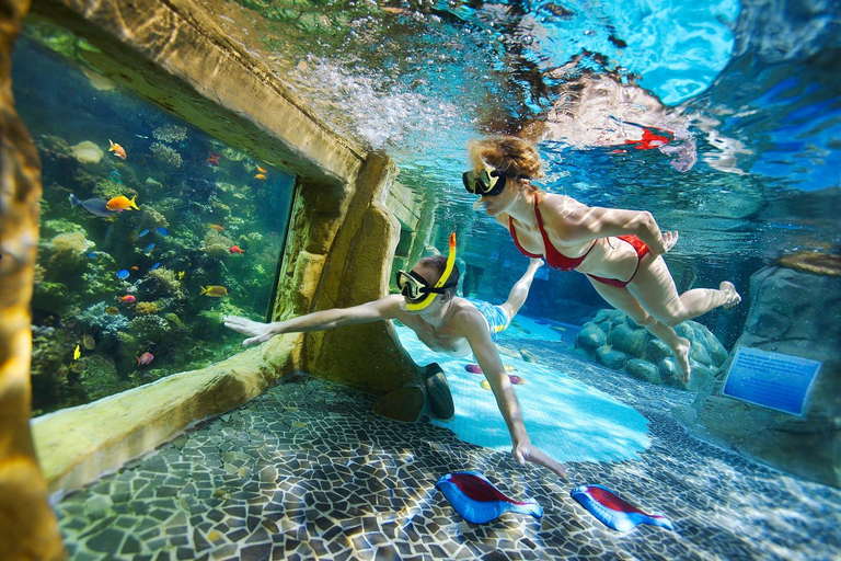Sport & Beauty 5, Center Parcs De Kempervennen Eindhoven, Bergeijk