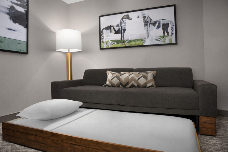 Bedroom 3, Springhill Suites by Marriott Lexington Fritz Farm, Fayette