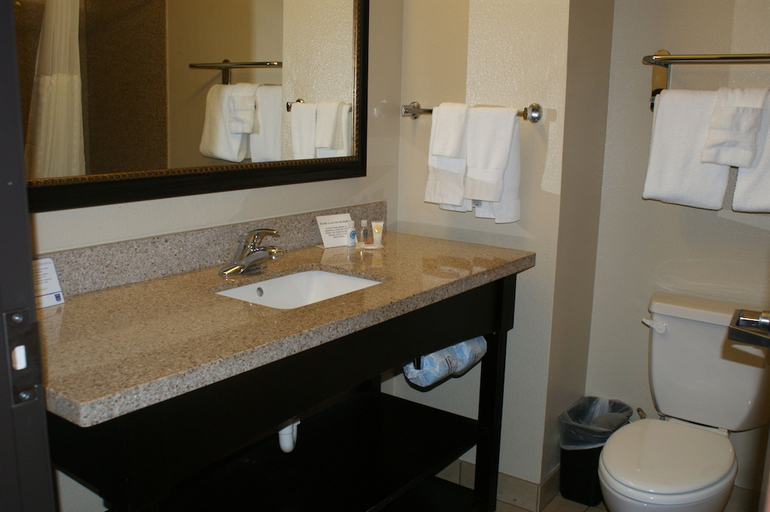 Bathroom 4, Comfort Inn & Suites Paris, Lamar