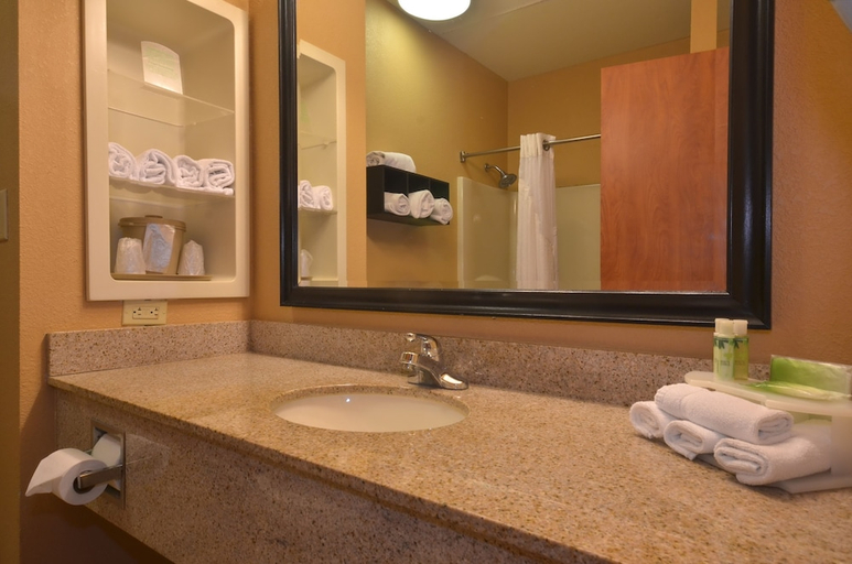 Bathroom 2, Holiday Inn Express Hotel And Suites Pine Bluff Pines Mall, Jefferson