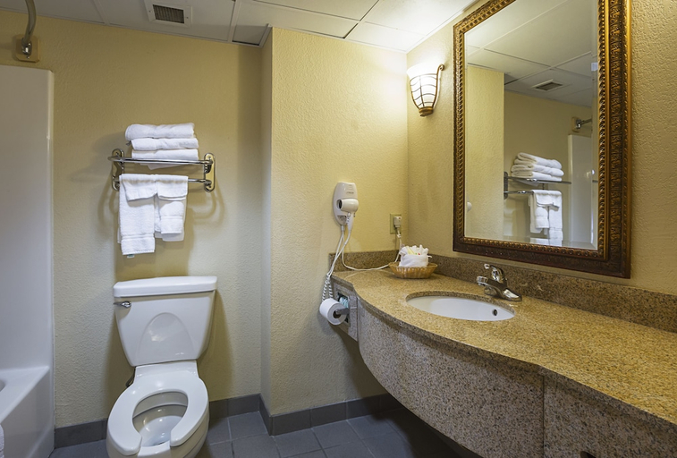 Bathroom 5, River Bend Inn, Sevier