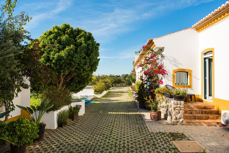Others 2, Casa de Cacela, Vila Real de Santo António
