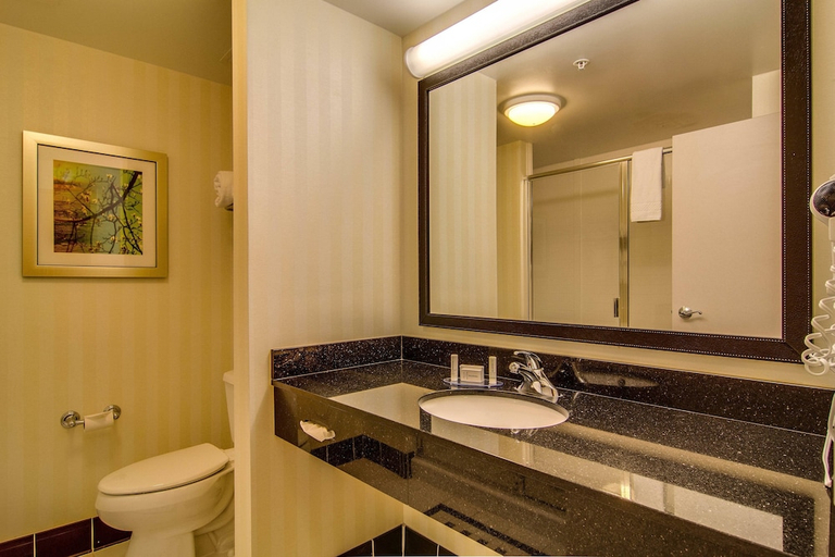 Bathroom, Fairfield Inn & Suites, Flagler