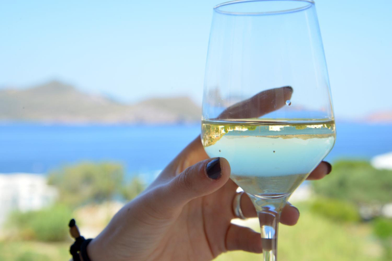 Food & Drinks 5, Panorama Hotel, South Aegean