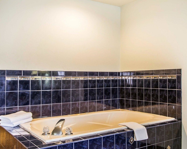 Bathroom 4, Quality Inn Pontiac, Livingston