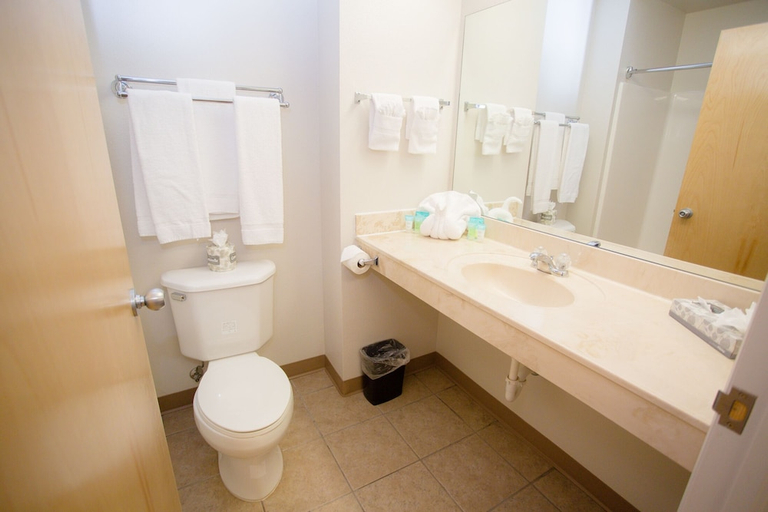 Bathroom 4, White Pine Adventure Inn, Sublette