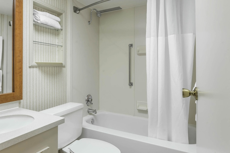 Bathroom 3, Quality Inn Perrysburg - Toledo South, Wood
