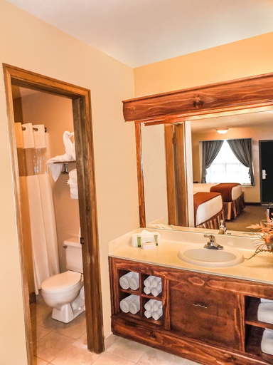 Bathroom 4, Wild Bear Inn, Sevier