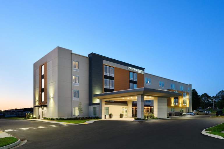 Exterior & Views, Springhill Suites By Marriott Dothan, Houston