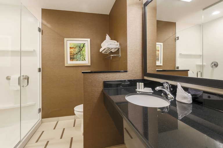 Bathroom 3, Fairfield Inn Suites Pleasanton, Atascosa