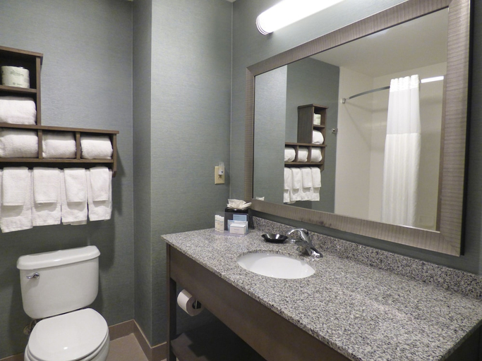 Bathroom 3, Hampton Inn & Suites Pensacola/I-10 Pine Forest Road, Escambia
