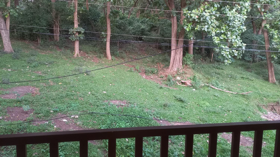 Scenery 7