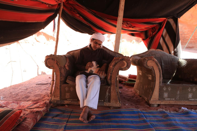 Bedroom 3, Bedouin Expedition , Aqaba