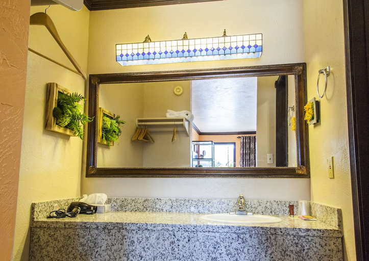 Bathroom 4, Mountain View Lodge, Iron