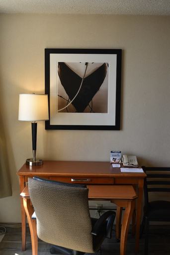 Others 4, Inn At The Convention Center, Multnomah