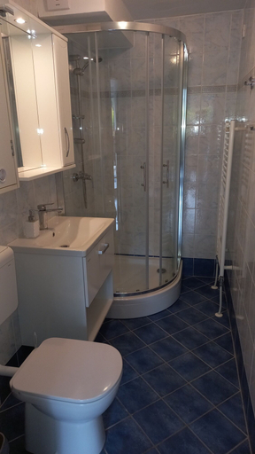 Bathroom 3, Apartments Jakelj, Kranjska Gora