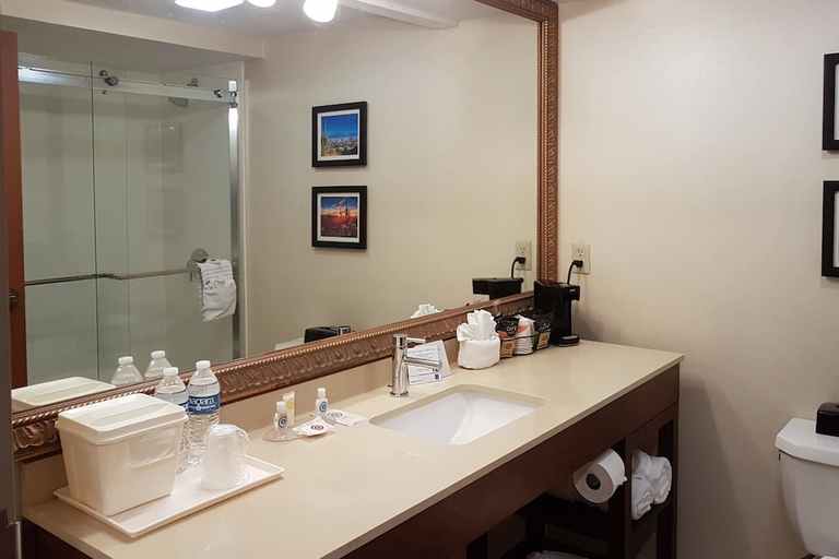 Bathroom 4, Comfort Inn I-10 West at 51st Ave, Maricopa