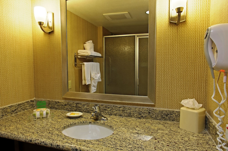 Bathroom 4, Holiday Inn & Suites PHOENIX AIRPORT by IHG, Maricopa