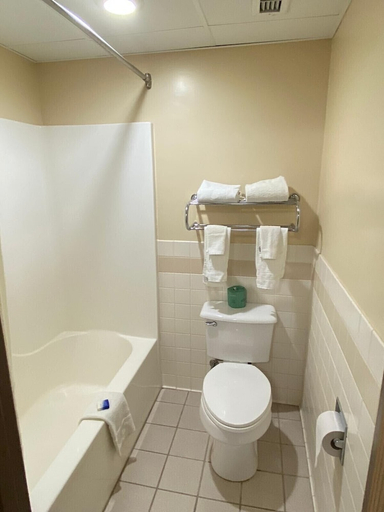 Bathroom 3, American Inn and Suites Peosta, IA, Dubuque