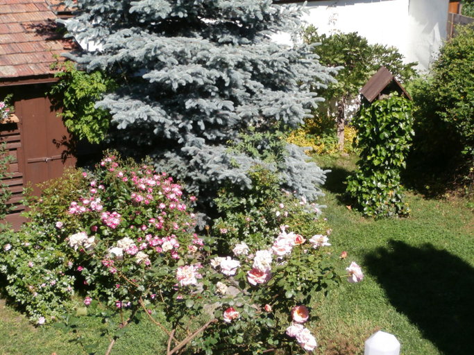 Others 2, Apartman Rachegy, Eger