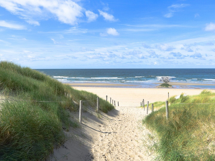 View from property 2, Villa on Texel near Beach and Forest, Texel