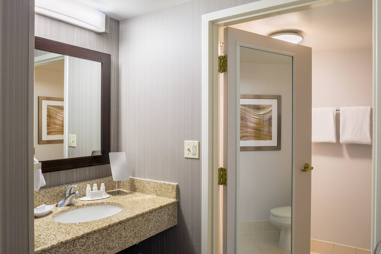 Bathroom 3, Downtown Providence Courtyard By Marriott, Providence