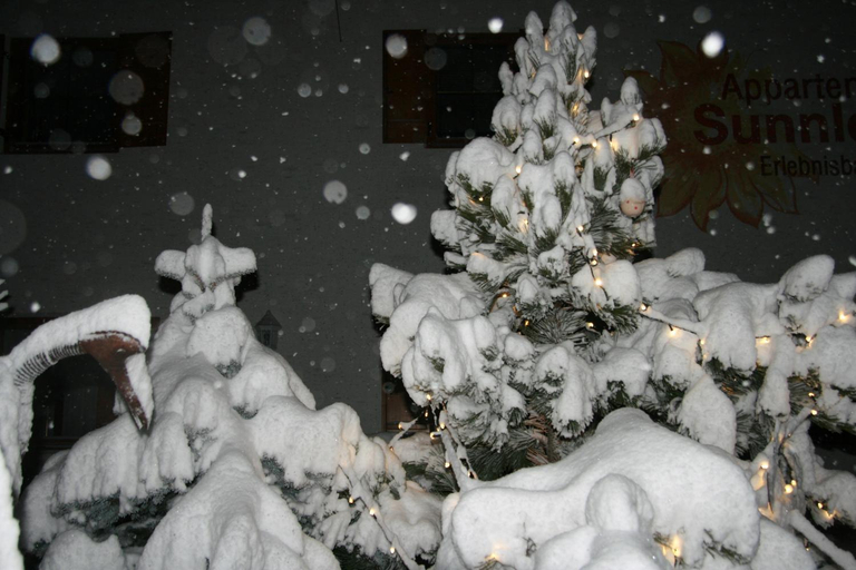 Others 4, Appartement Sunnleitn, Bolzano