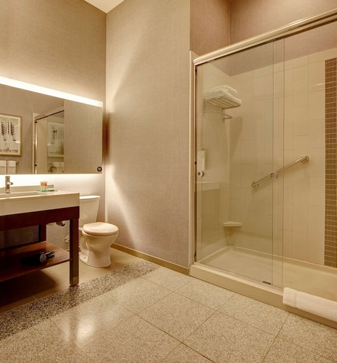 Bathroom 3, HYATT PLACE ST PAUL DOWNTOWN, Ramsey
