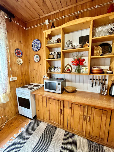 Others 4, House Girska Rika, Skolivs'kyi