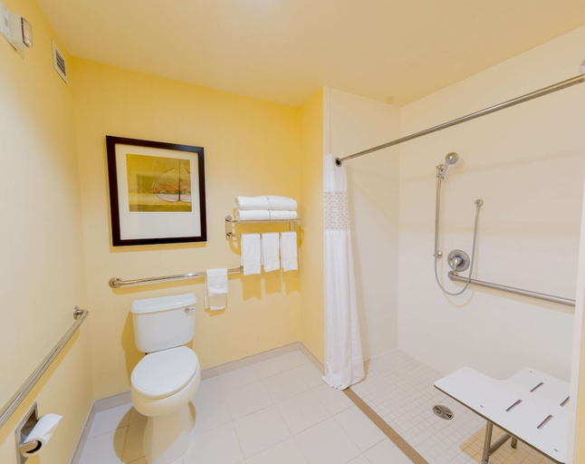 Bathroom 4, Hampton Inn & Suites Riverside/Corona East, Riverside