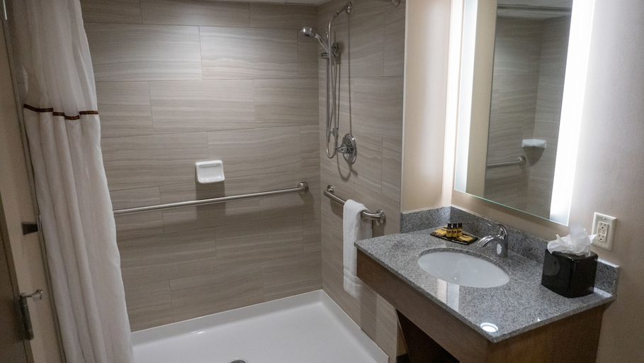 Bathroom 2, Radisson Hotel St. Paul Downtown, Ramsey