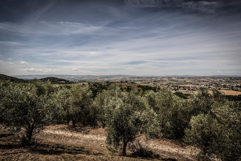 Others 4, Il Poggio Delle Ginestre, Perugia